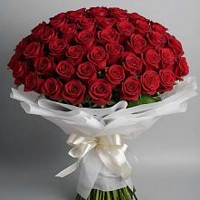 Букет 101 Красная роза Блэк Мэджик #REPLACE_PRED# Красной Горке