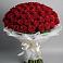 Букет 101 Красная роза Блэк Мэджик в Красной Горке