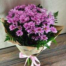 Букет цветов из:  Хризантемы #REPLACE_PRED# Красной Горке