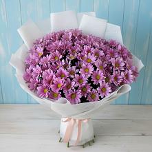 Букет цветов из:  Хризантемы #REPLACE_PRED# Красной Горке