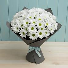 Букет цветов из:  Хризантемы #REPLACE_PRED# Красной Горке