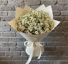Букет цветов из:  Ромашки в Красной Горке