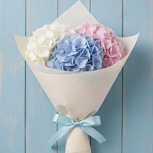 Букет цветов из:  Гортензия в Красной Горке