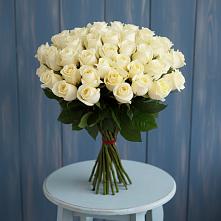 Букет 51 Белая роза Эдлесс Лав #REPLACE_PRED# Красной Горке