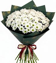 Букет цветов из:  Хризантемы в Красной Горке