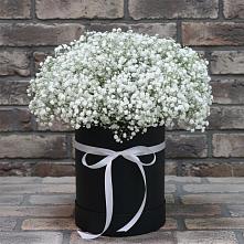 Цветочная композиция из Гипсофила в шляпной коробке в Красной Горке