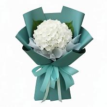 Букет цветов из:  Гортензия в Красной Горке